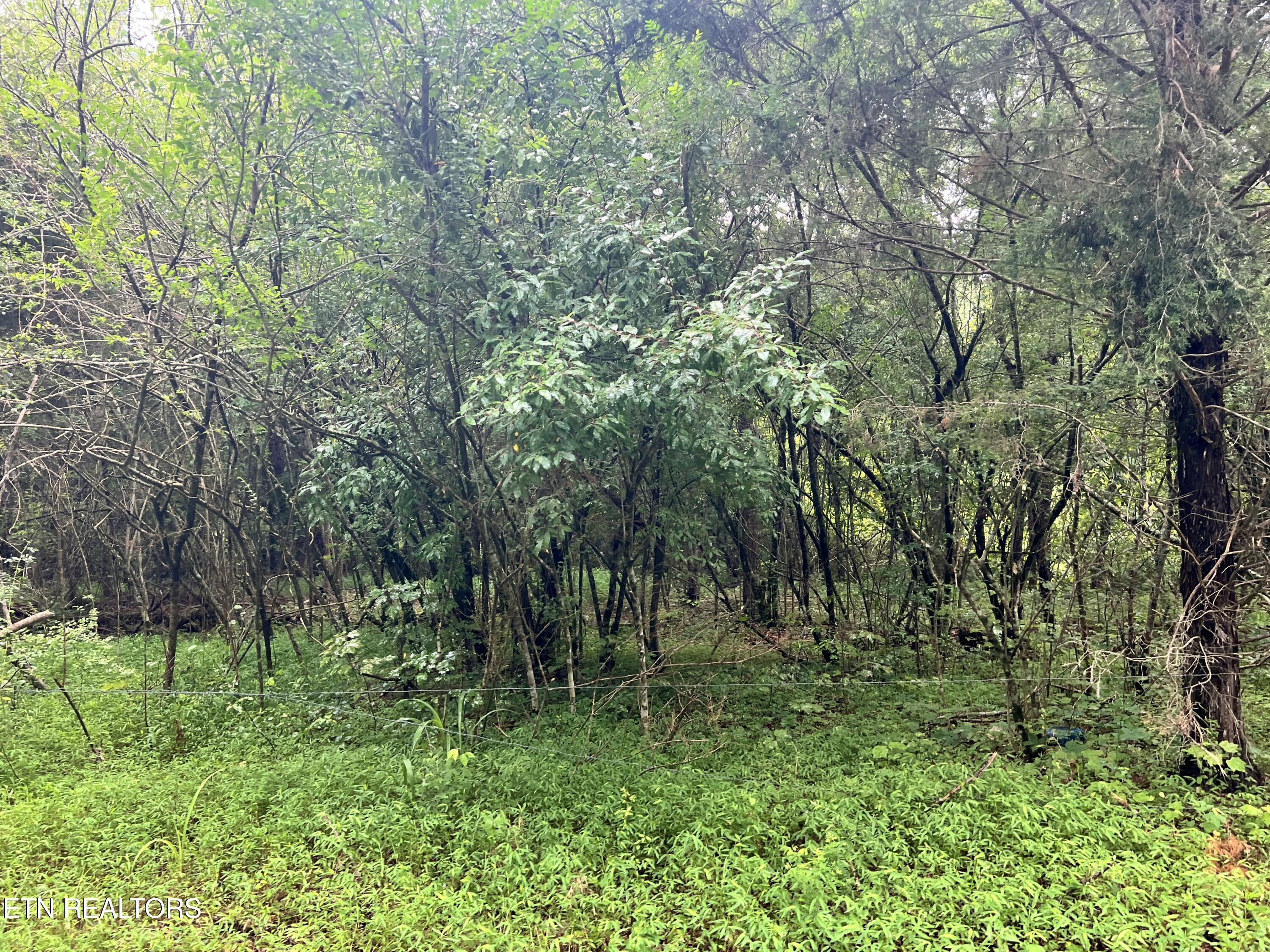 Lot 5 Willie Promore Road Decatur TN 37322