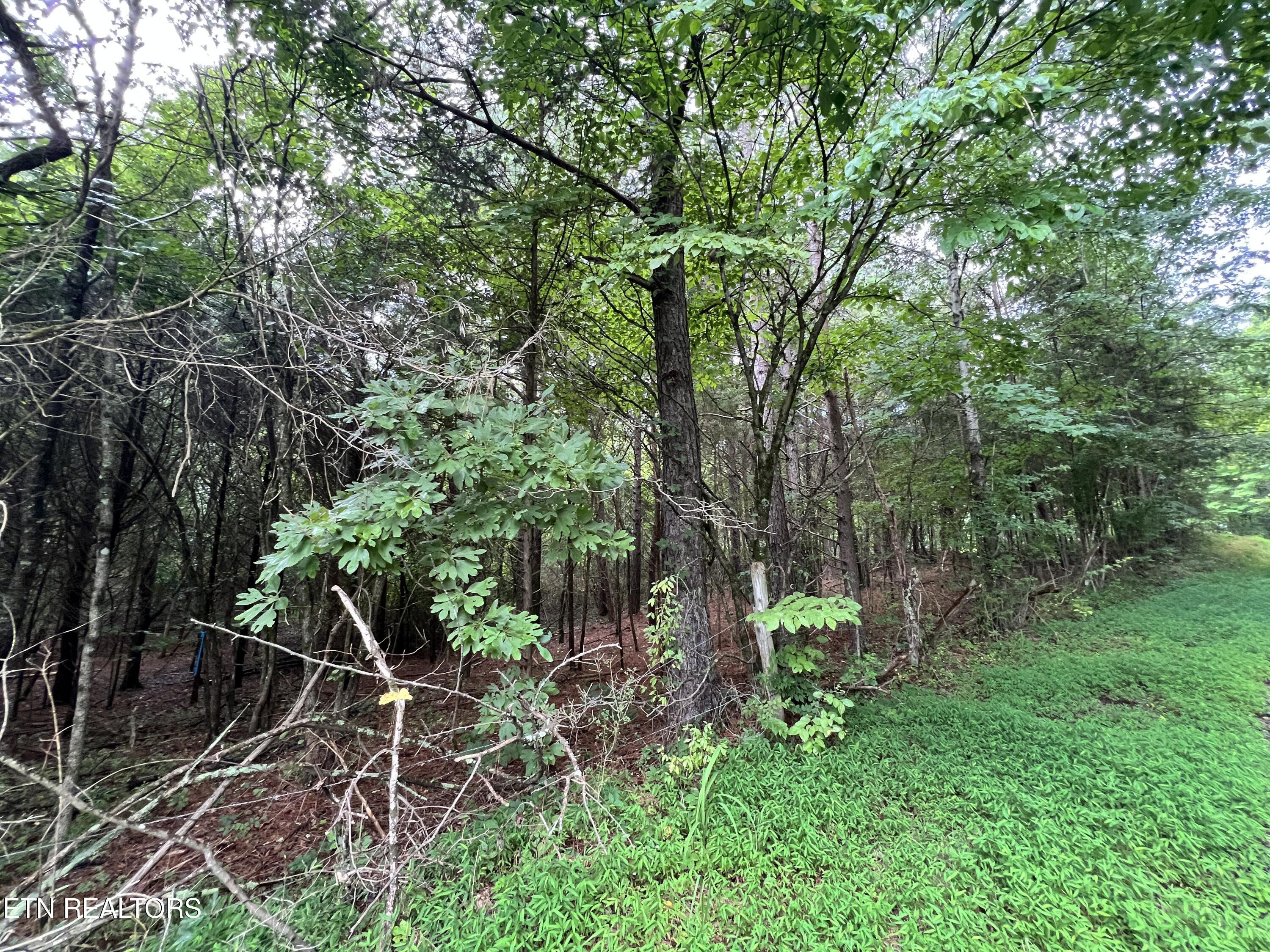 Lot 5 Willie Promore Road Decatur TN 37322