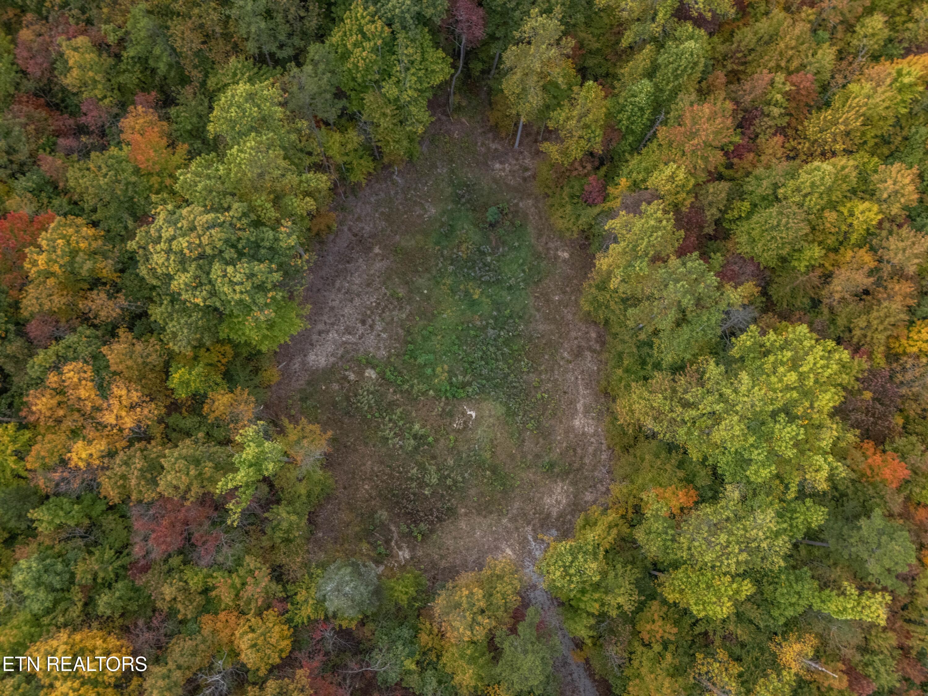 592 Cumberland Cove Road Monterey TN 38574