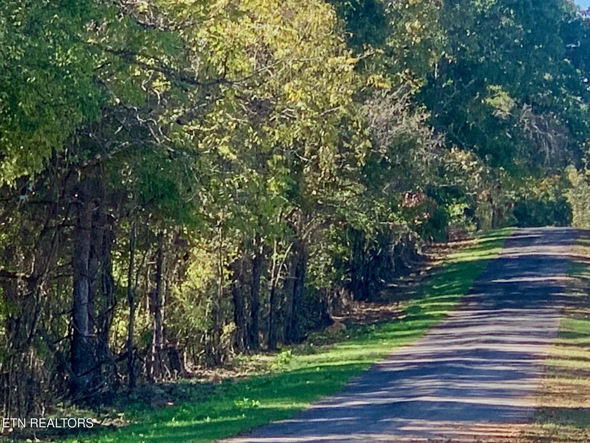 Somerset Estates | Homesite 3 Lenoir City TN 37771