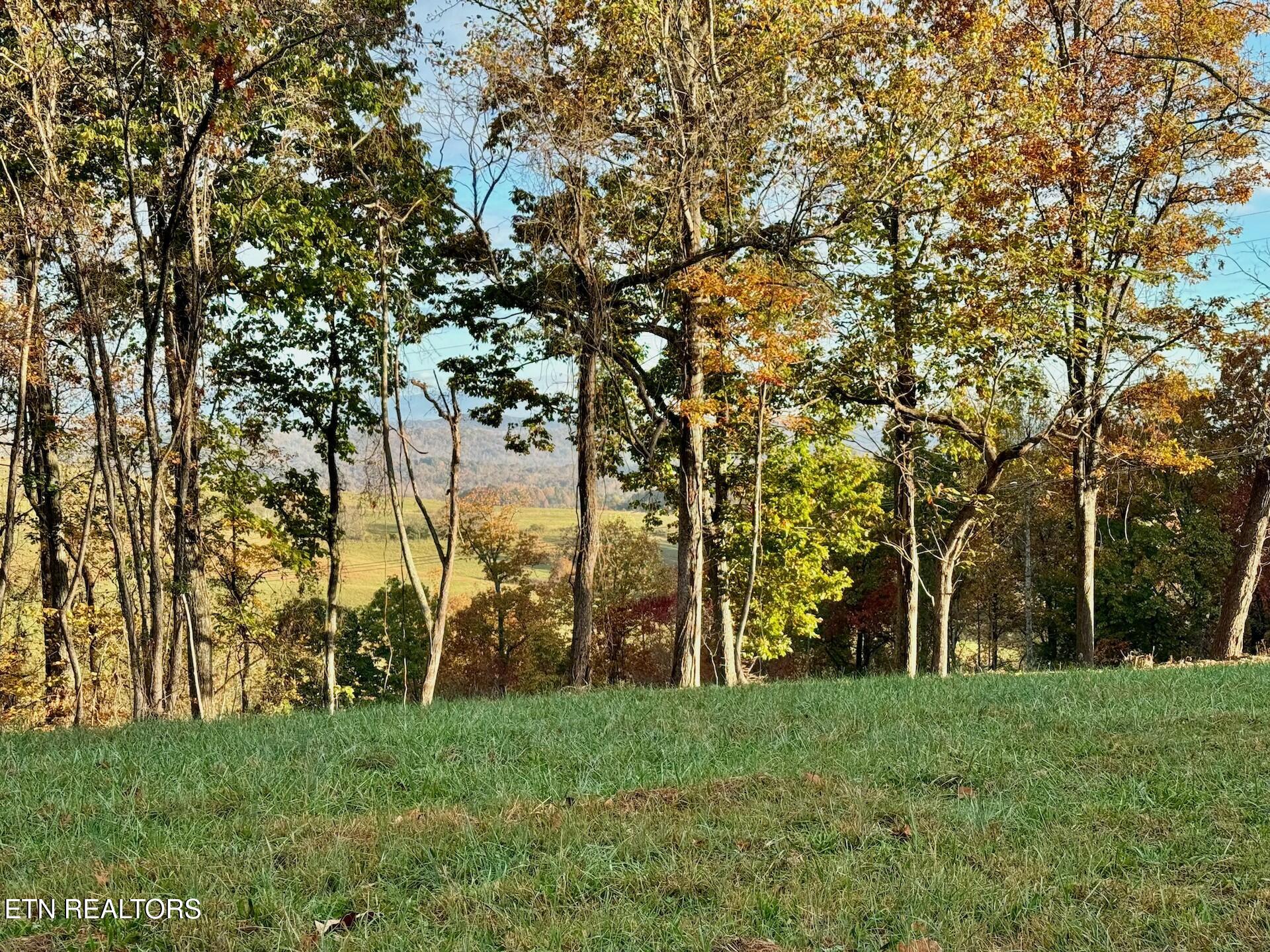 Somerset Estates | Homesite 3 Lenoir City TN 37771