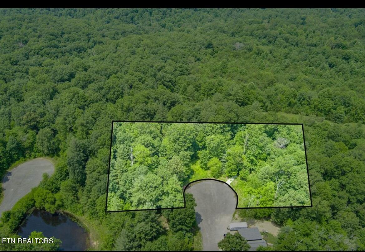 58 Mountain Preserve Point Crab Orchard TN 37723
