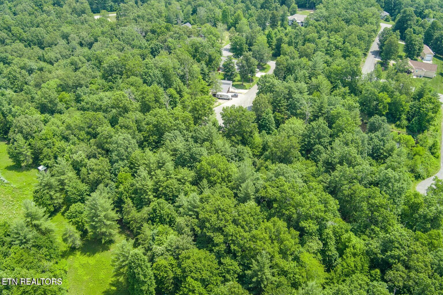 58 Mountain Preserve Point Crab Orchard TN 37723