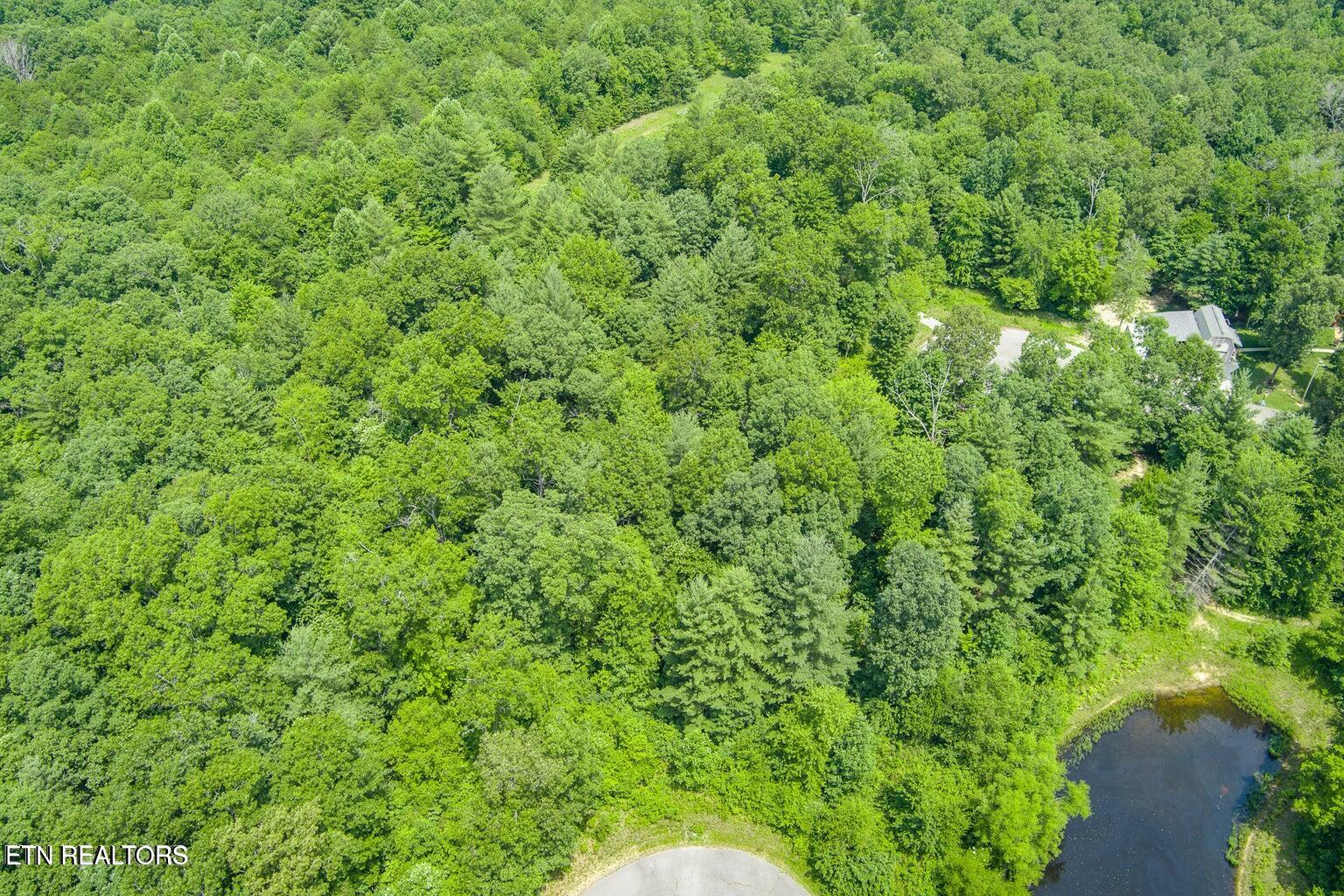 58 Mountain Preserve Point Crab Orchard TN 37723