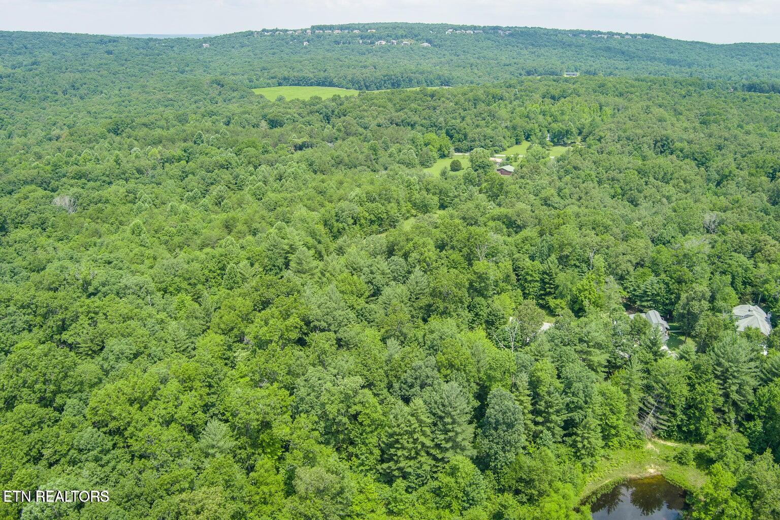 58 Mountain Preserve Point Crab Orchard TN 37723