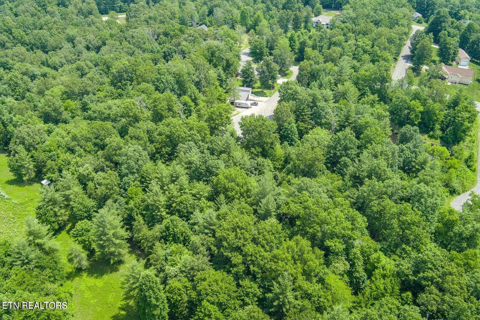 58 Mountain Preserve Point Crab Orchard TN 37723