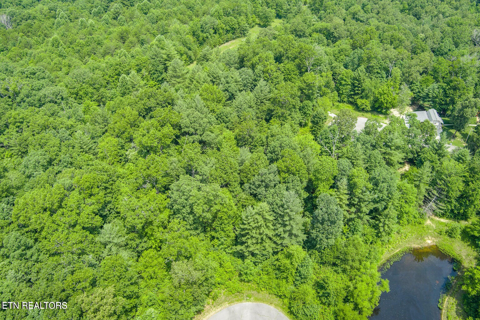 58 Mountain Preserve Point Crab Orchard TN 37723