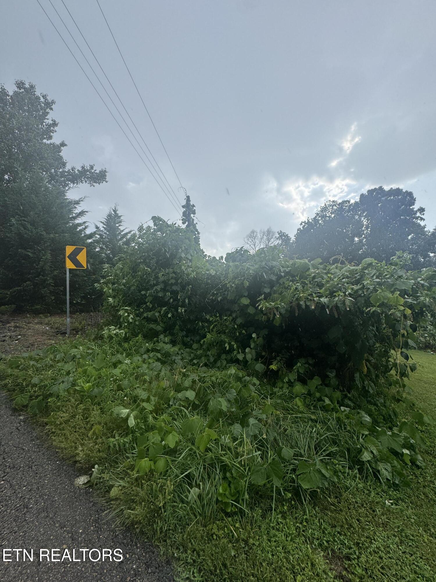 0 Dewine Circle Knoxville TN 37921