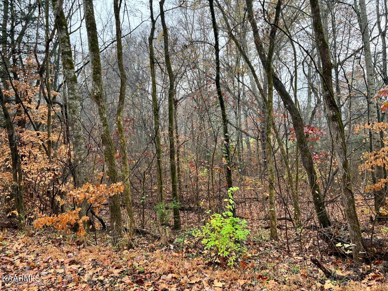 Lot 8 Butler Road Decatur TN 37322