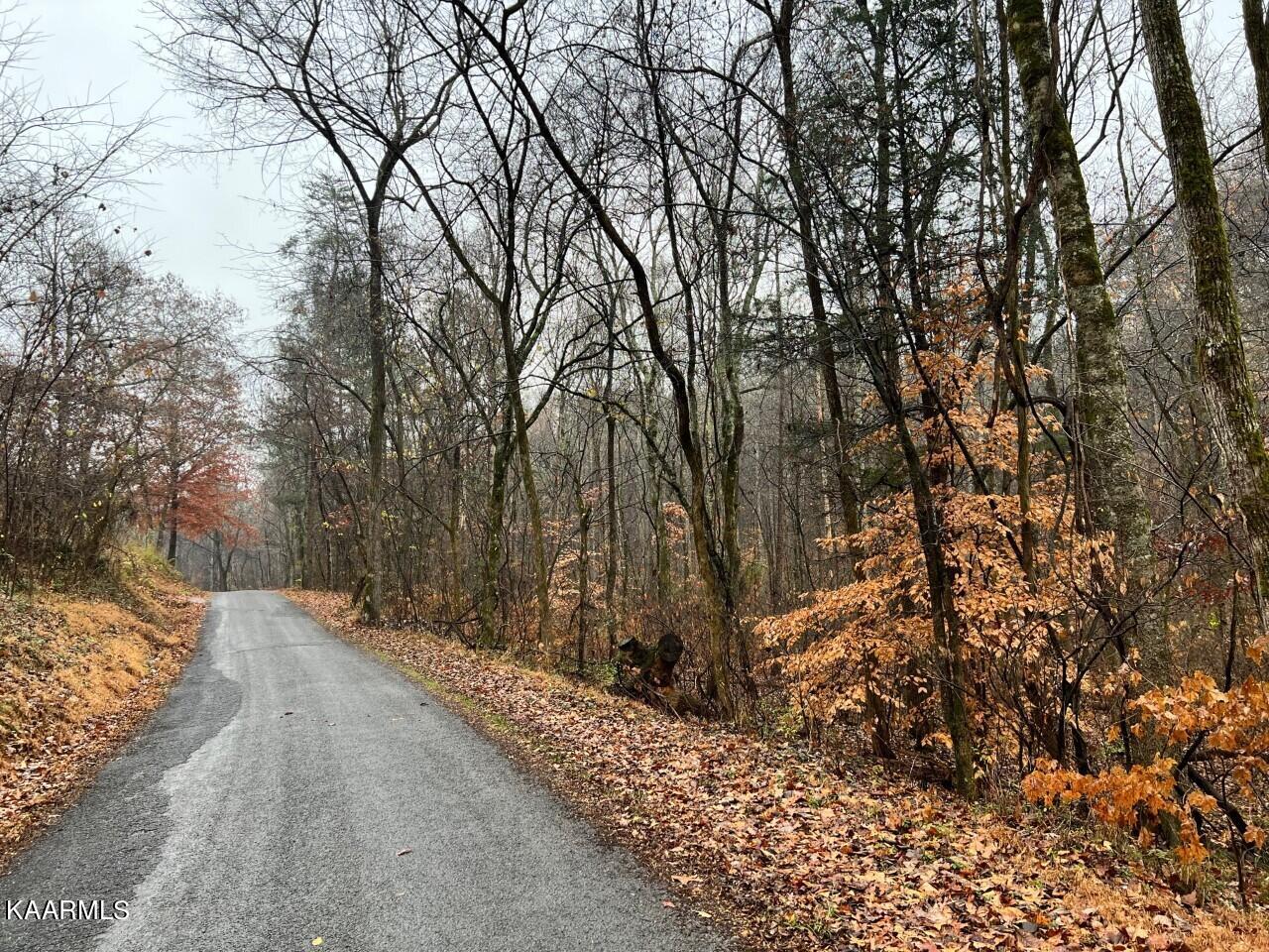 Lot 8 Butler Road Decatur TN 37322