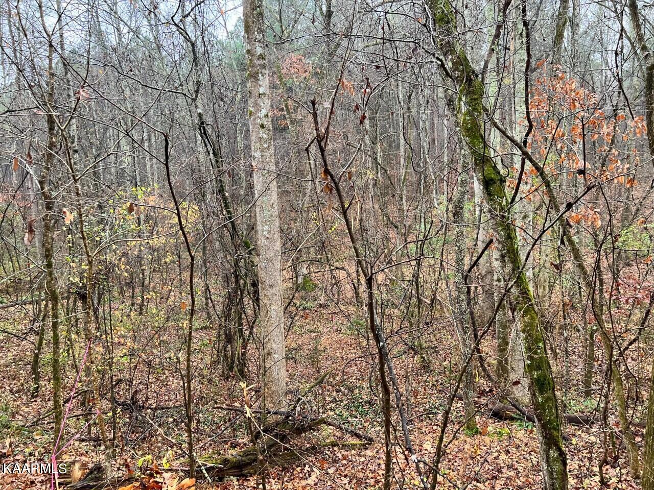 Lot 8 Butler Road Decatur TN 37322