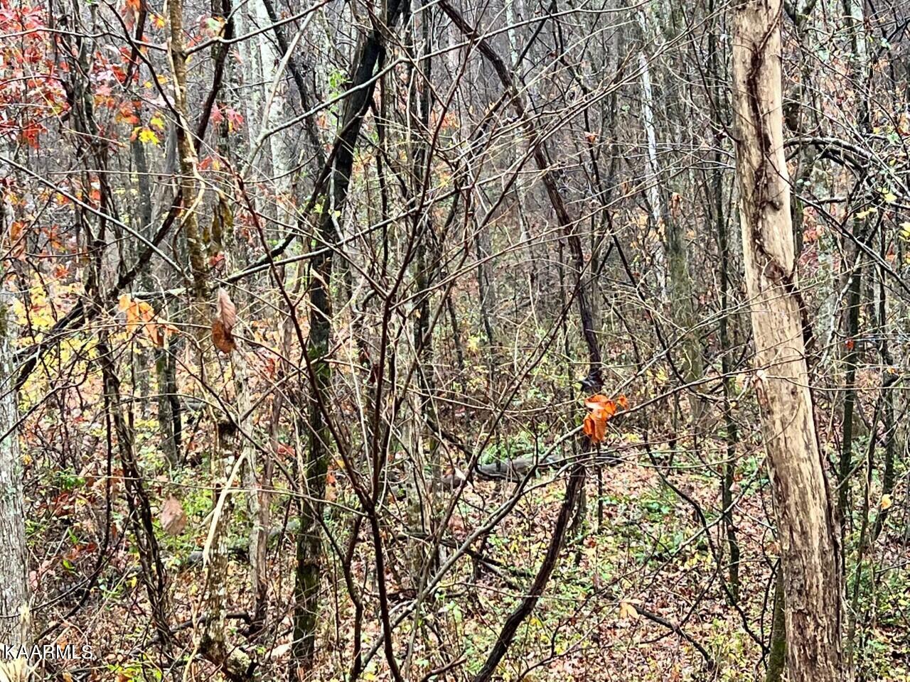 Lot 8 Butler Road Decatur TN 37322