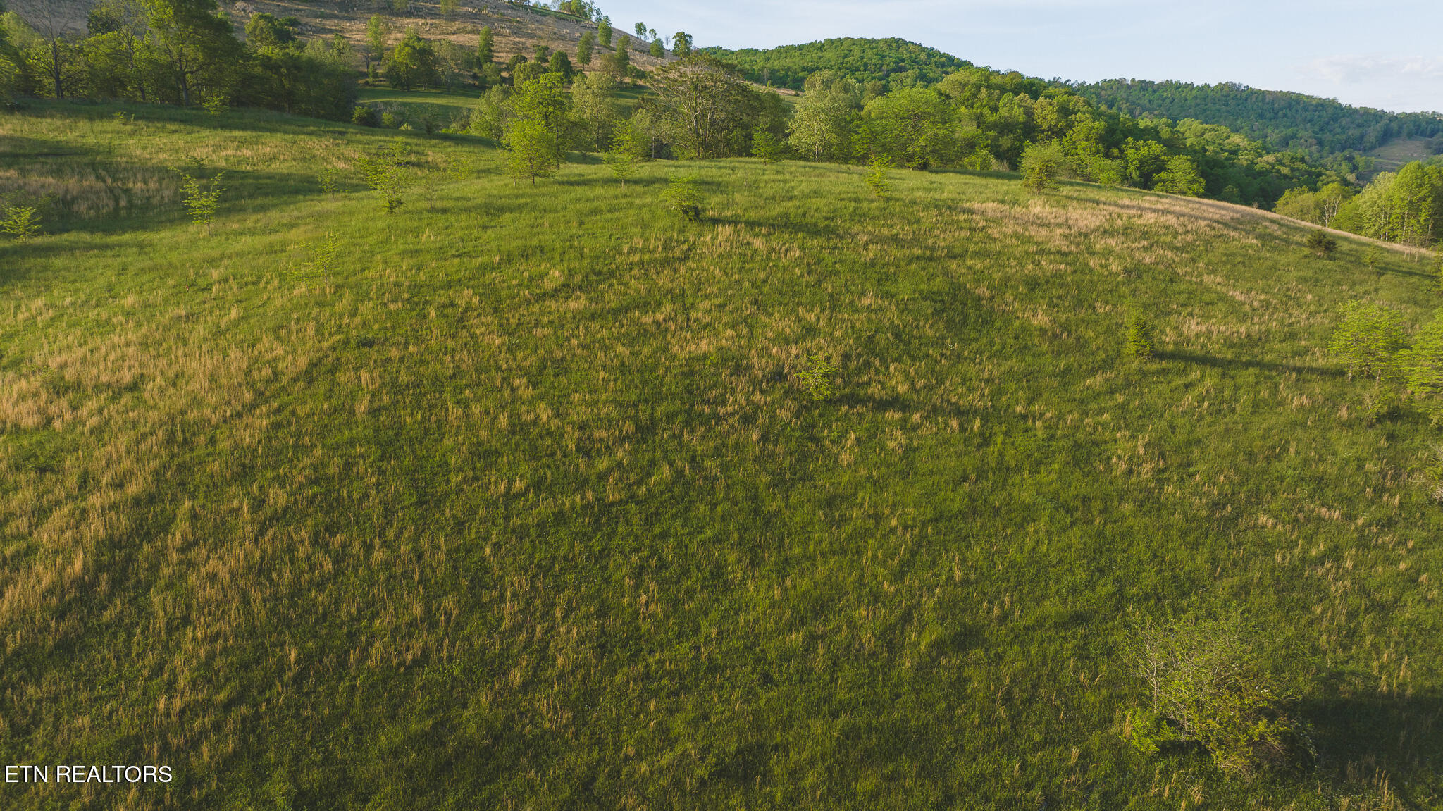 Tract 12r Big Springs Road Eidson TN 37731