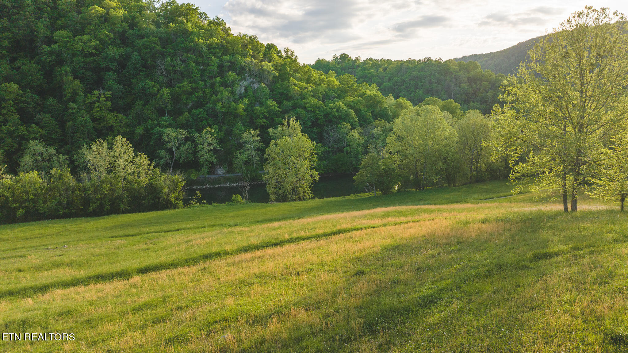 Tract 12r Big Springs Road Eidson TN 37731