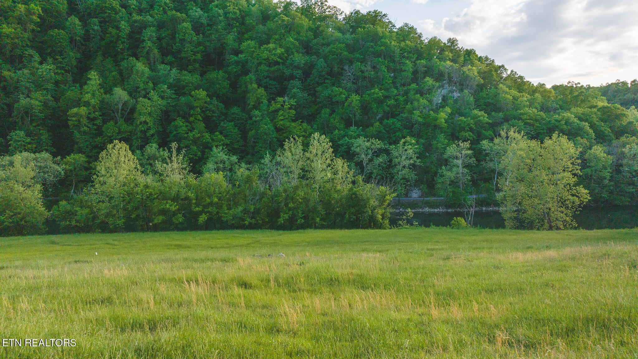 Tract 12r Big Springs Road Eidson TN 37731