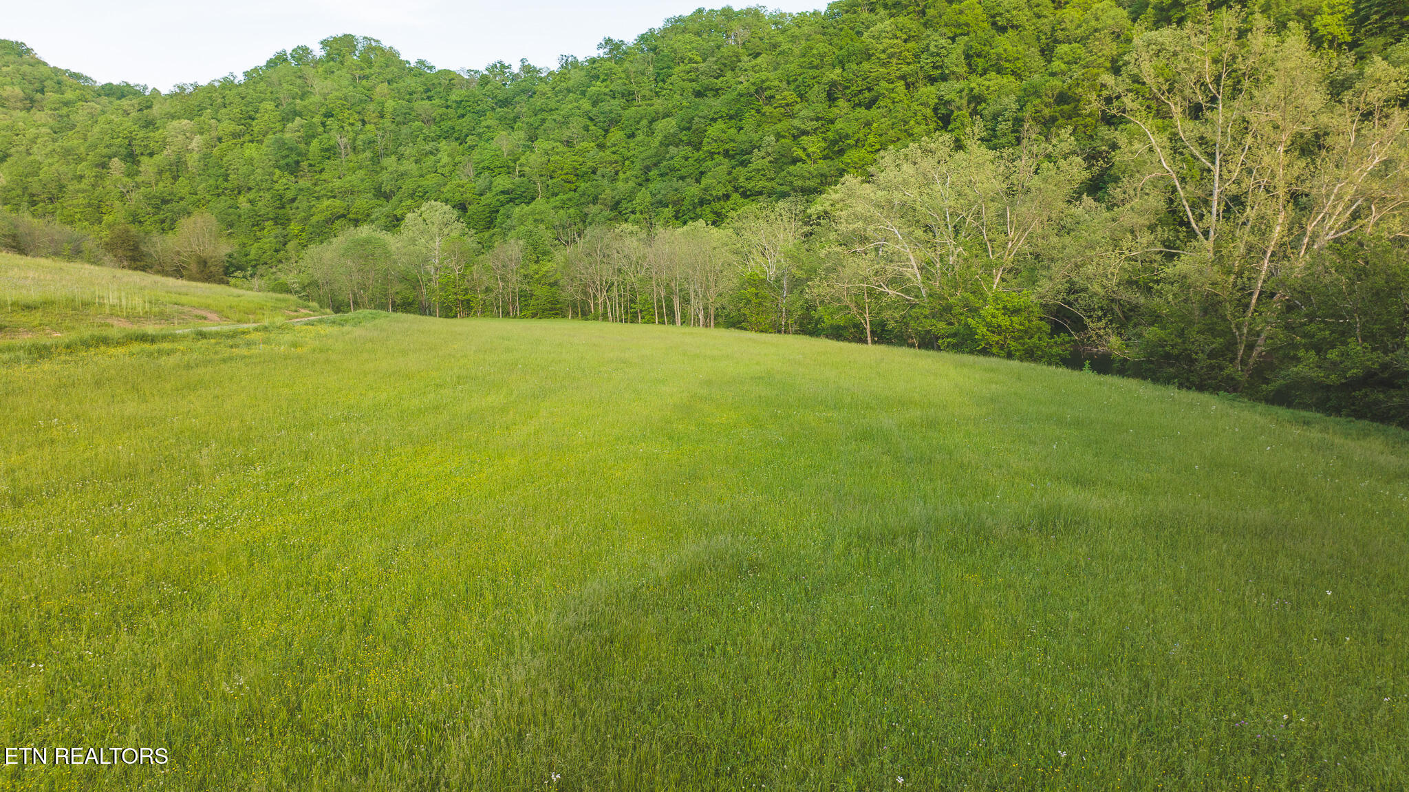 Tract 12r Big Springs Road Eidson TN 37731
