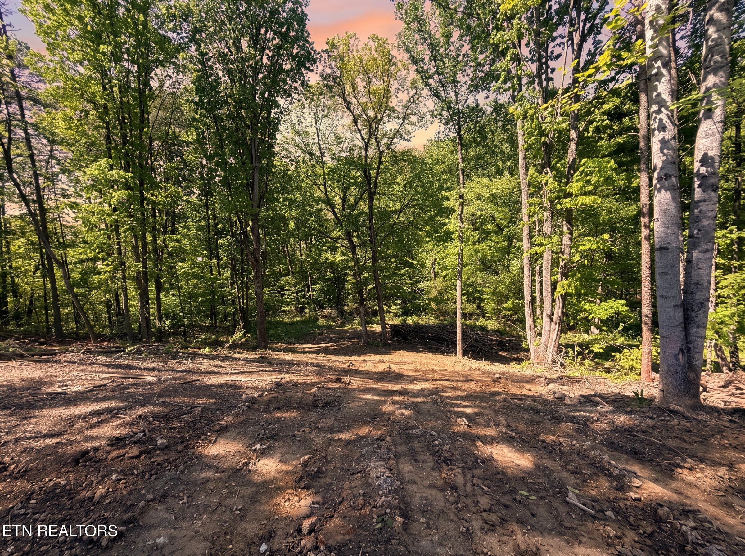 839 Josana Lane New Market TN 37820