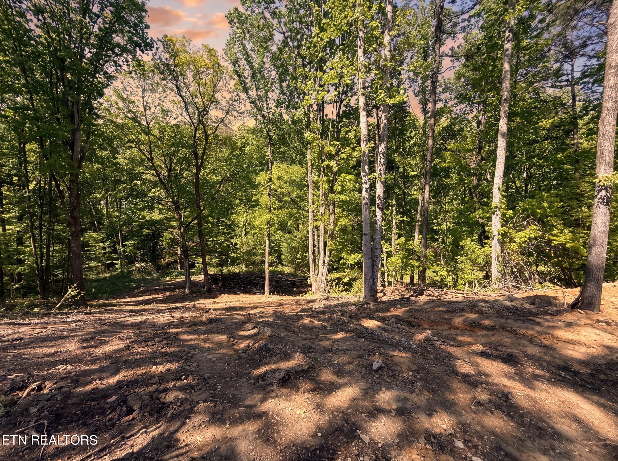 839 Josana Lane New Market TN 37820