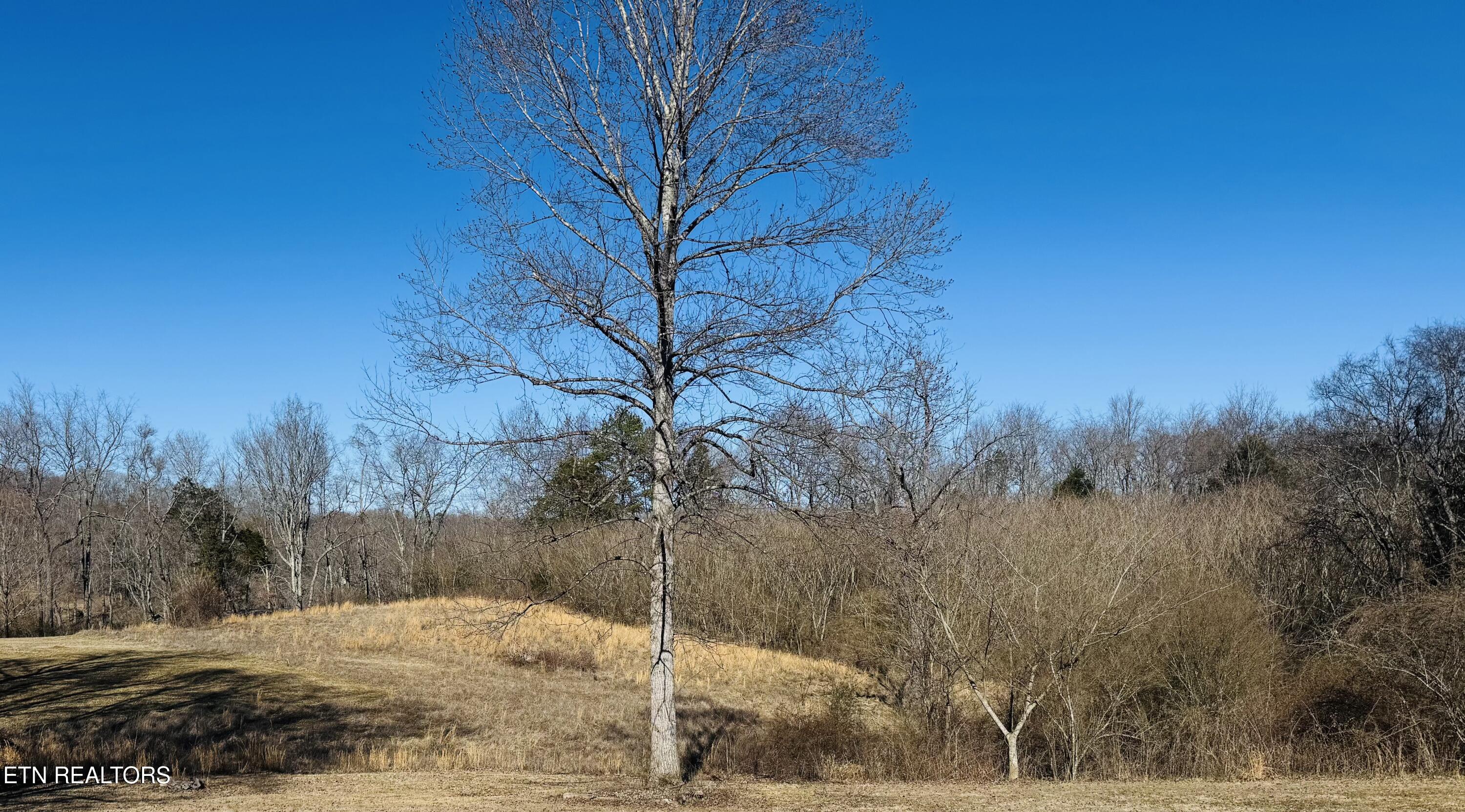 409 Carroll Hollow Road Clinton TN 37716