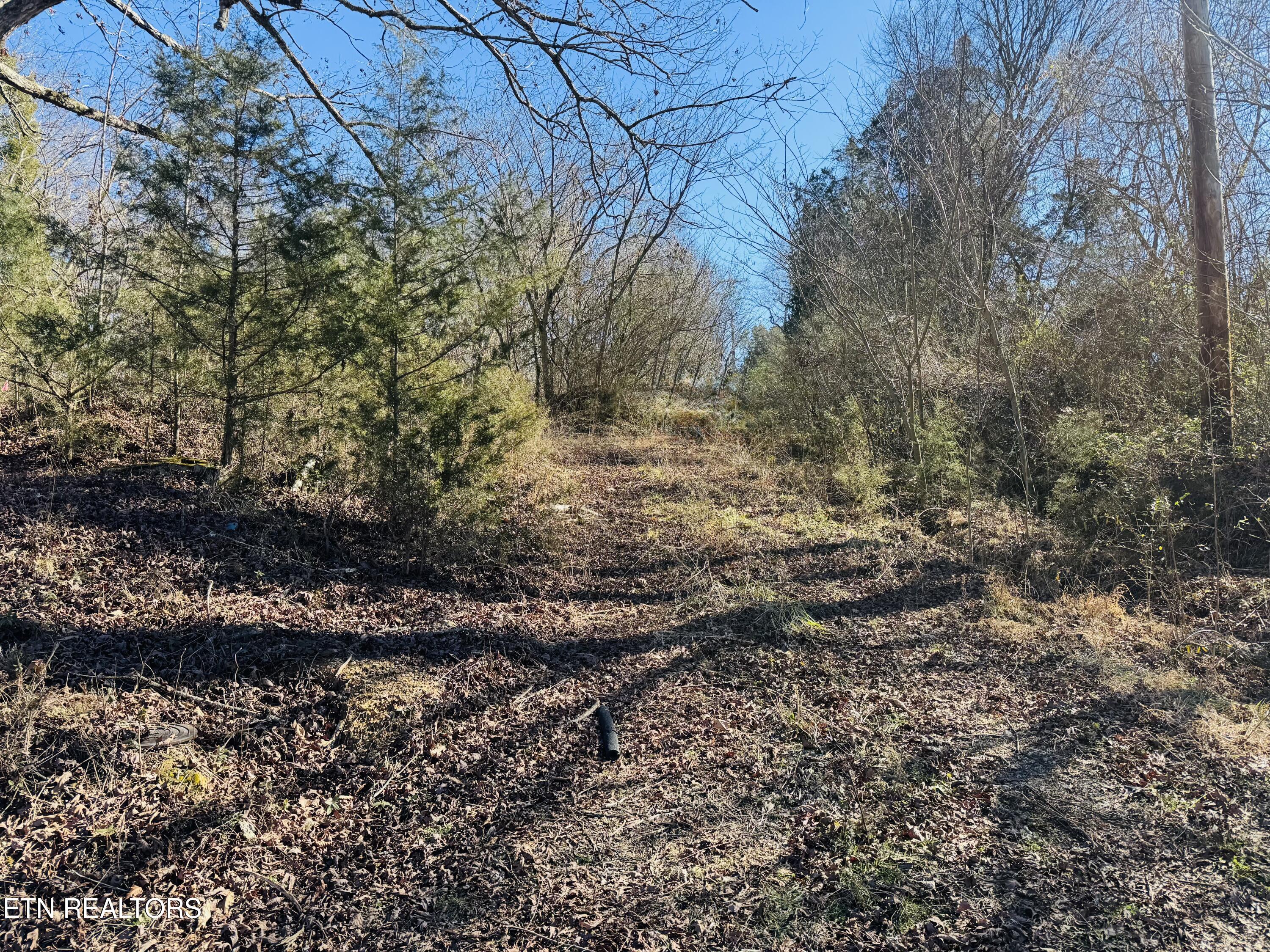 409 Carroll Hollow Road Clinton TN 37716