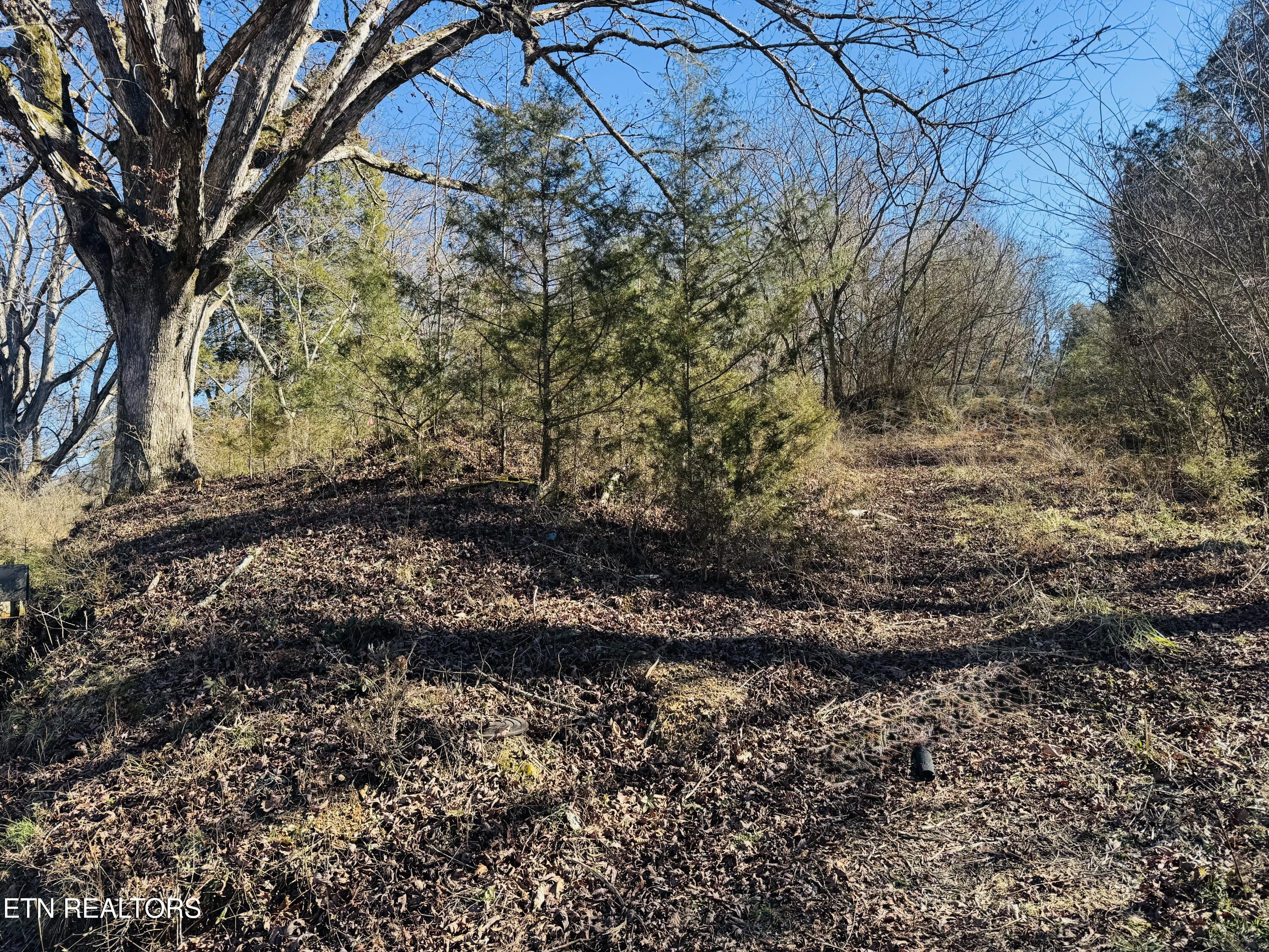 409 Carroll Hollow Road Clinton TN 37716