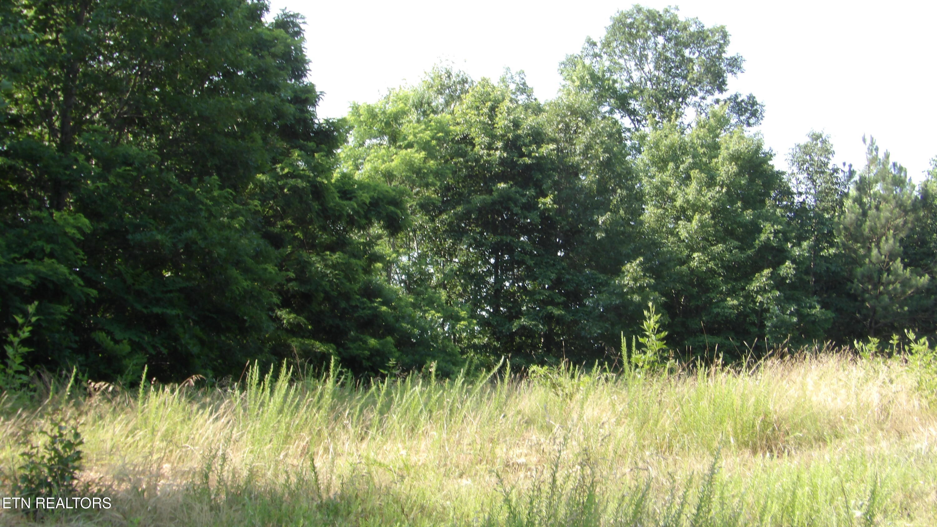 13.87AC Pleasant Cemetery Lane Gainesboro TN 38562