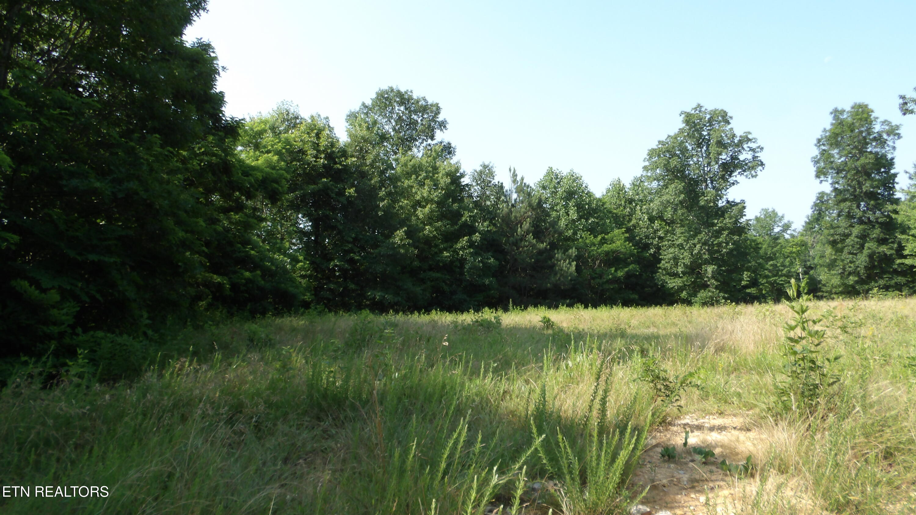 13.87AC Pleasant Cemetery Lane Gainesboro TN 38562