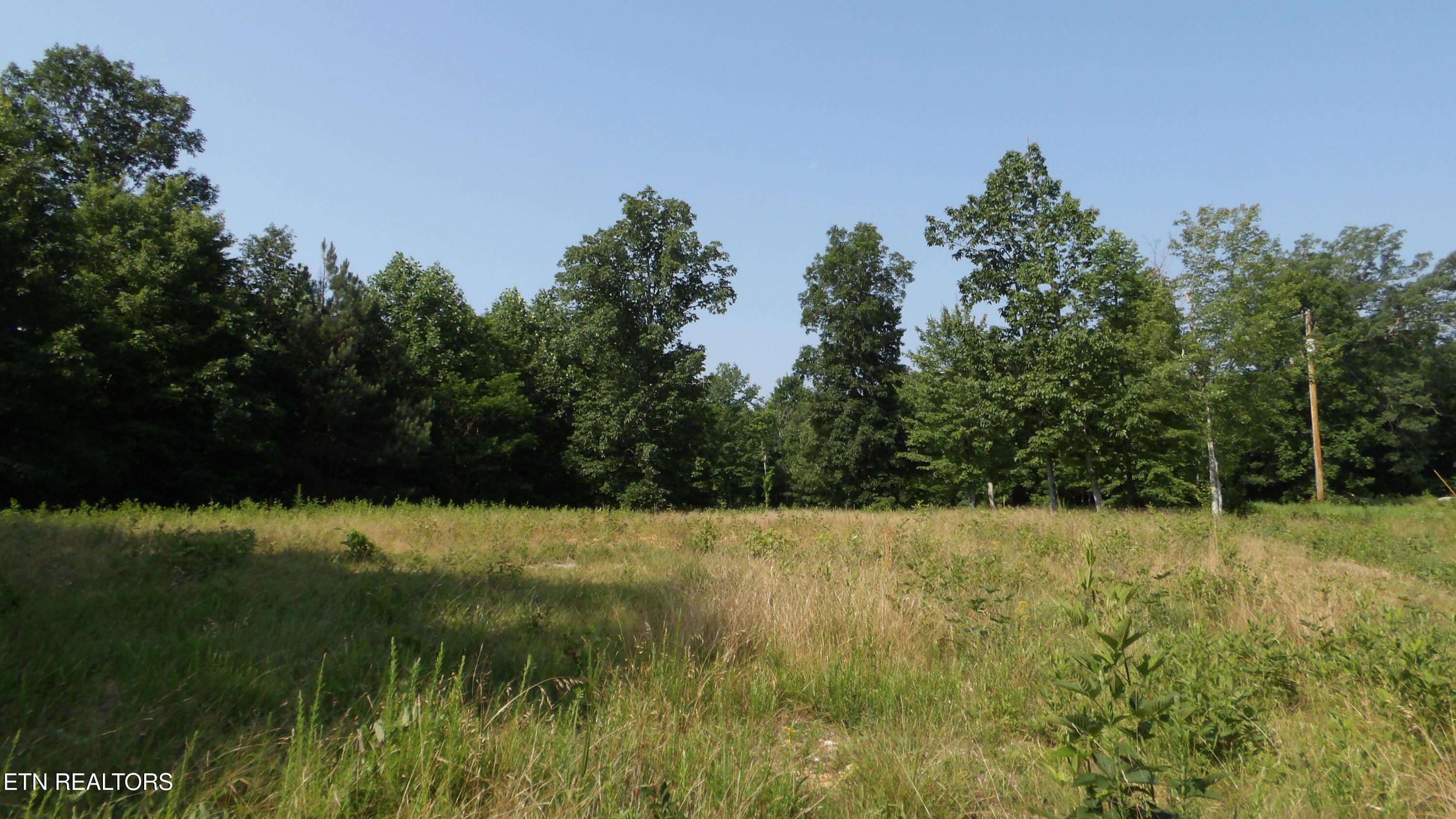 13.87AC Pleasant Cemetery Lane Gainesboro TN 38562