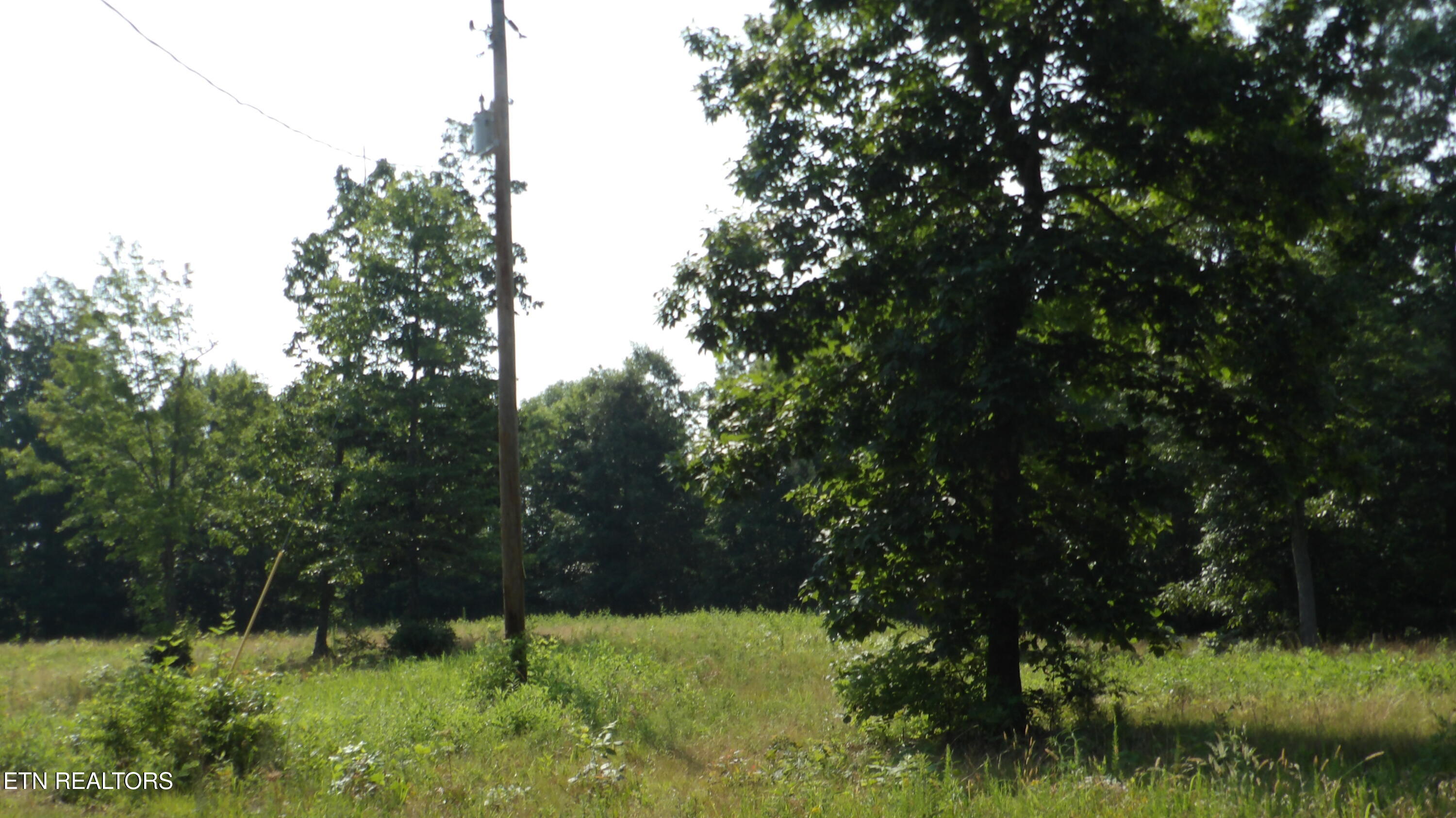 13.87AC Pleasant Cemetery Lane Gainesboro TN 38562