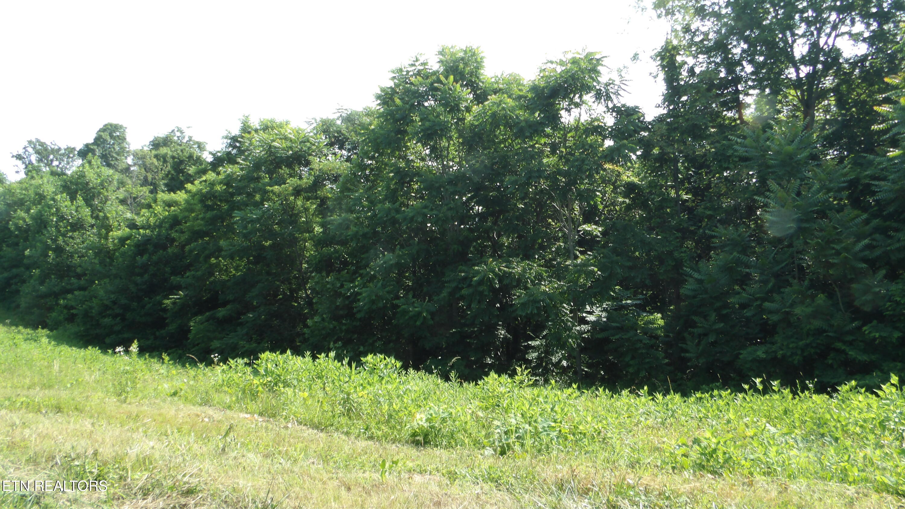 13.87AC Pleasant Cemetery Lane Gainesboro TN 38562