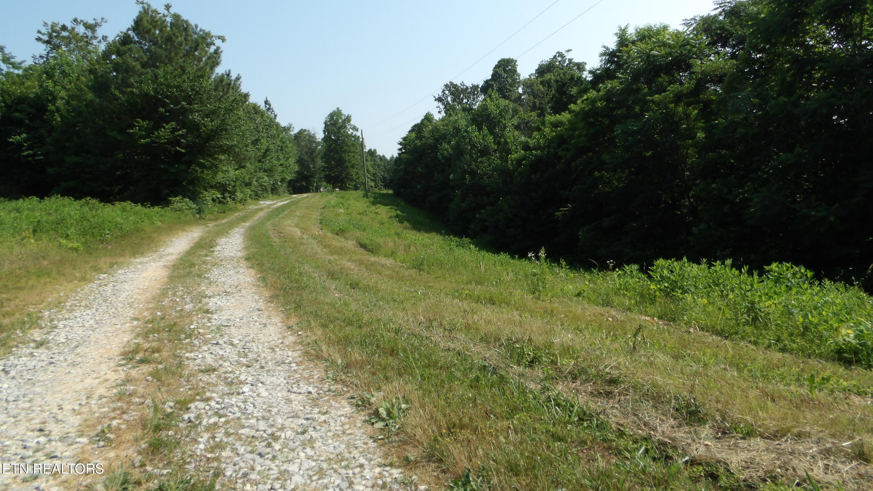 13.87AC Pleasant Cemetery Lane Gainesboro TN 38562