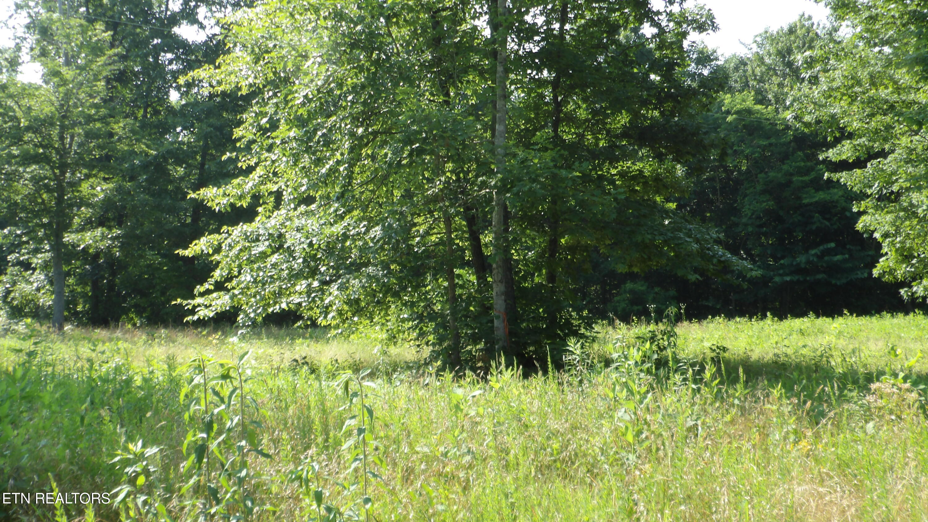 13.87AC Pleasant Cemetery Lane Gainesboro TN 38562