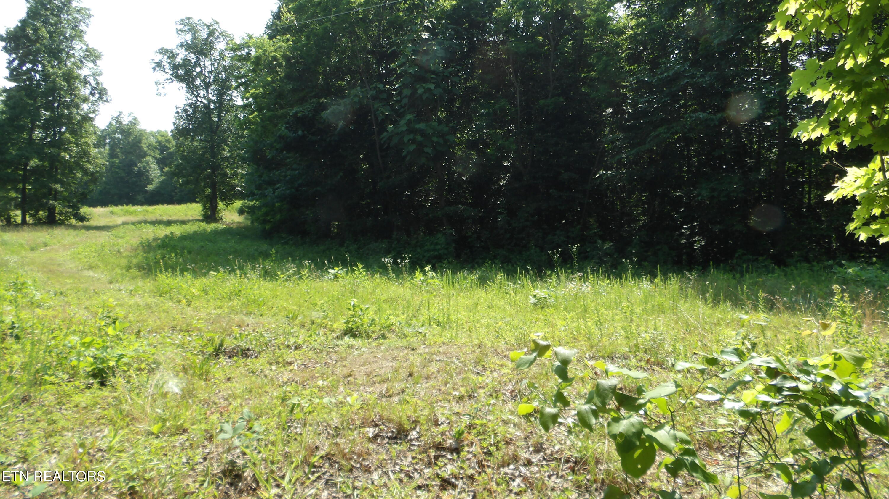 13.87AC Pleasant Cemetery Lane Gainesboro TN 38562