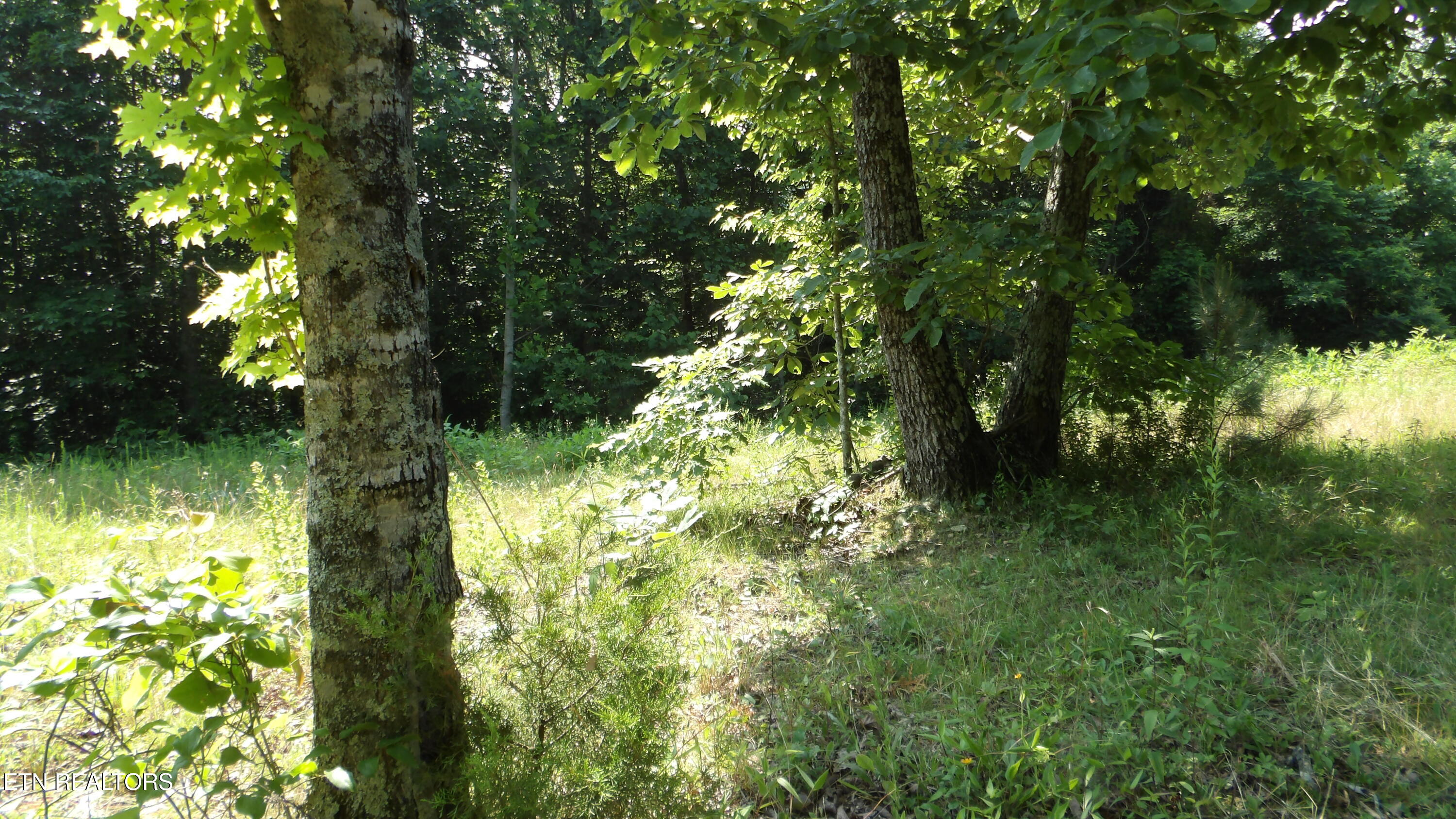 13.87AC Pleasant Cemetery Lane Gainesboro TN 38562