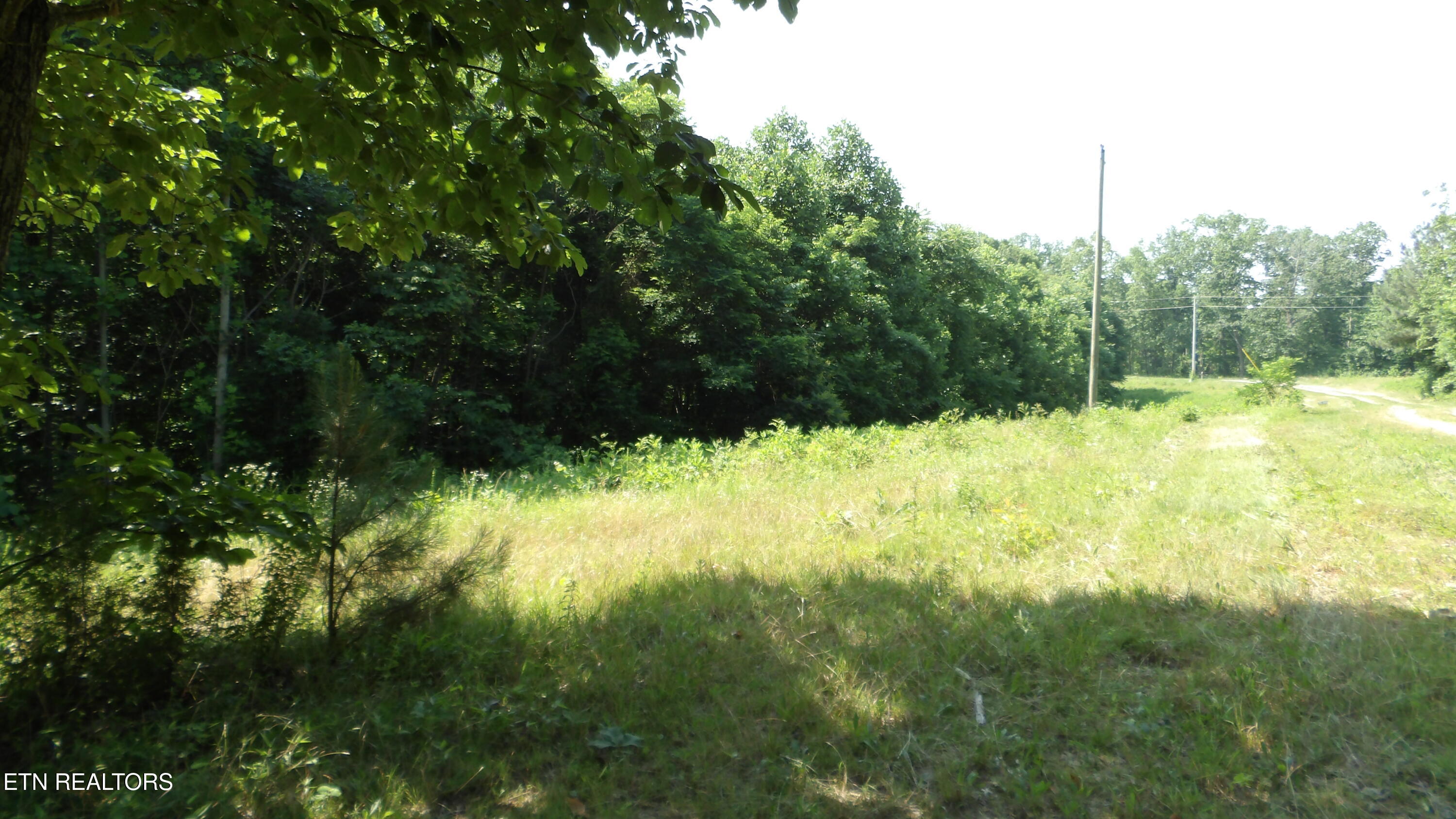 13.87AC Pleasant Cemetery Lane Gainesboro TN 38562