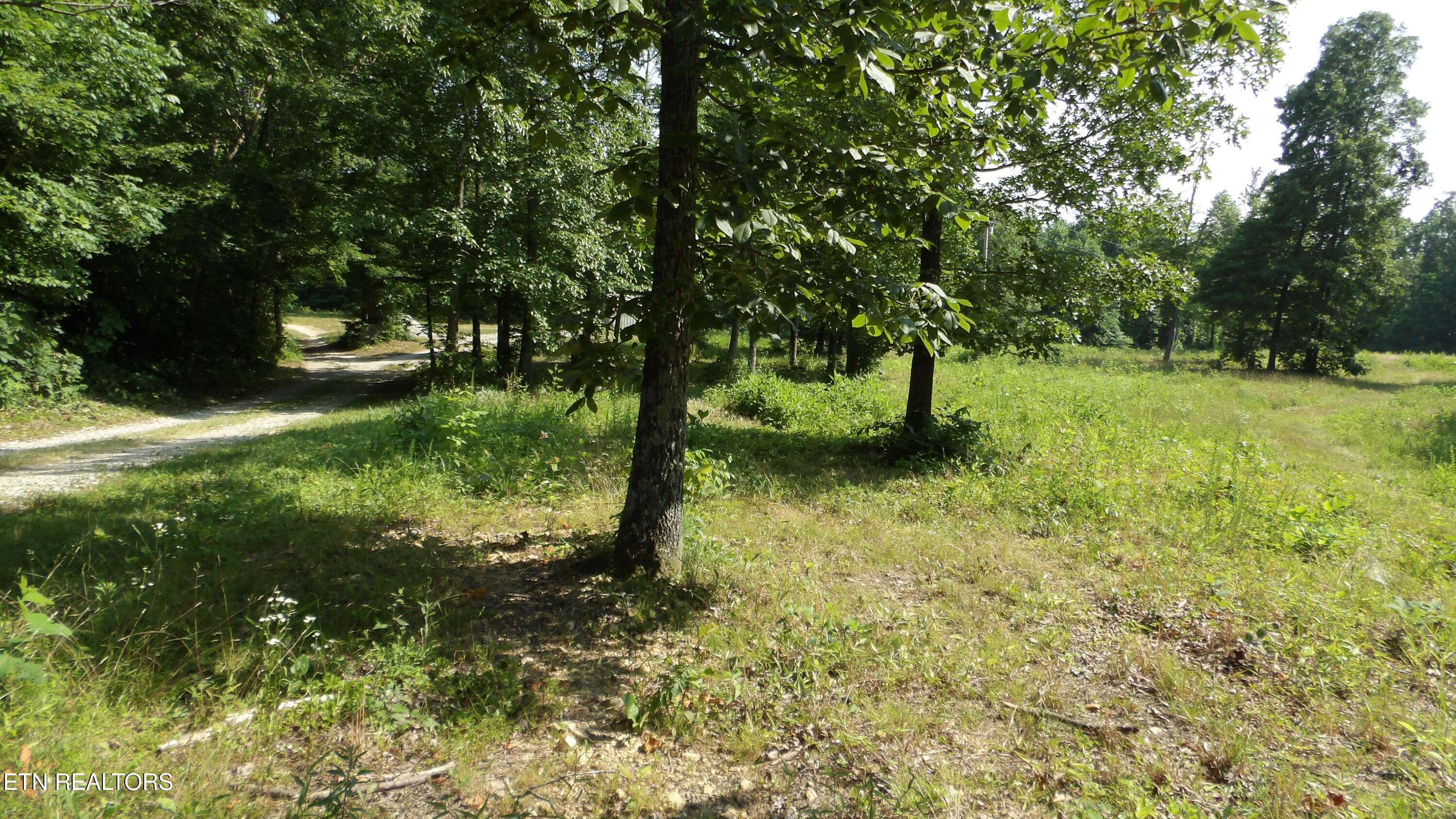 13.87AC Pleasant Cemetery Lane Gainesboro TN 38562