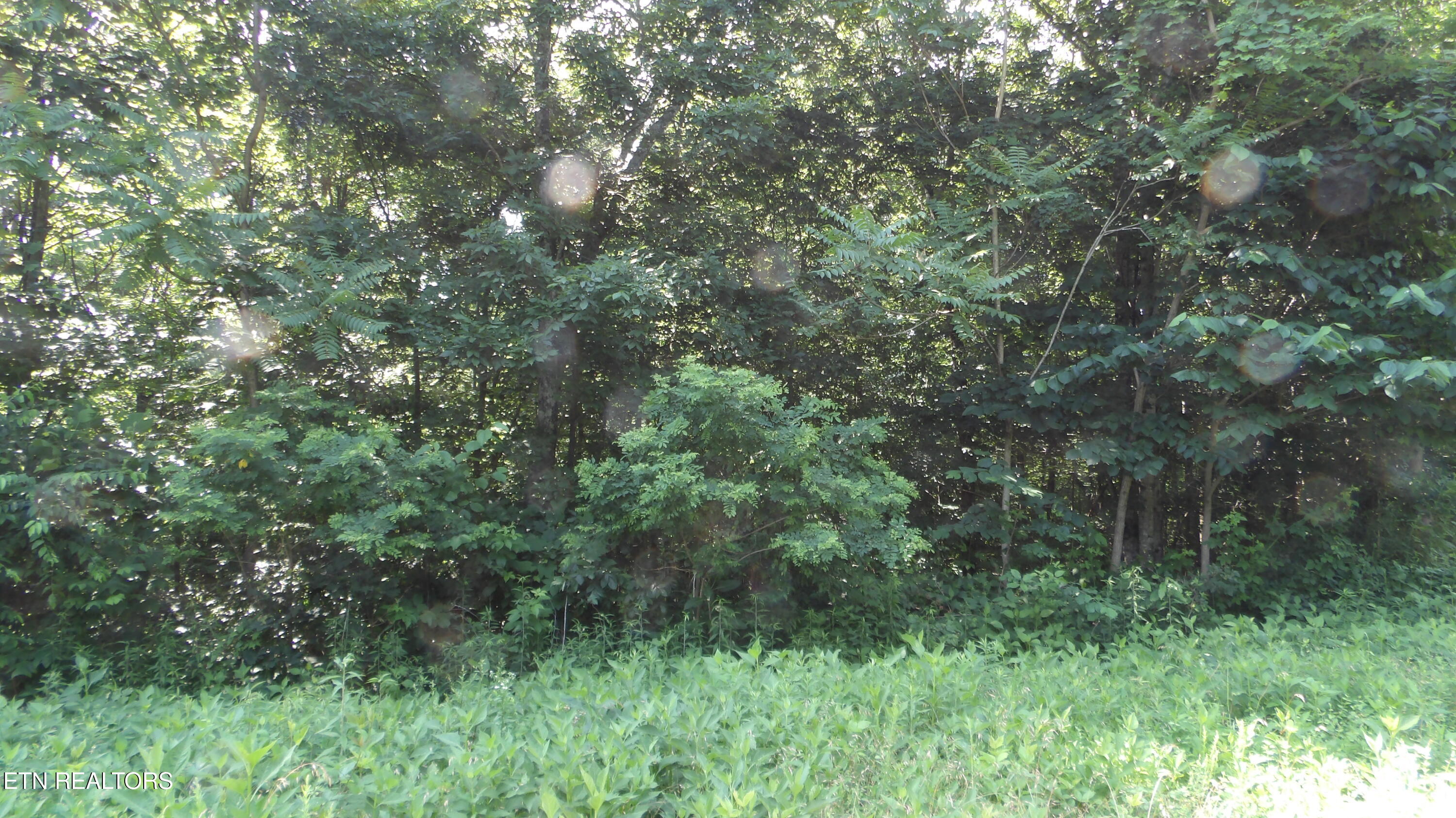 13.87AC Pleasant Cemetery Lane Gainesboro TN 38562