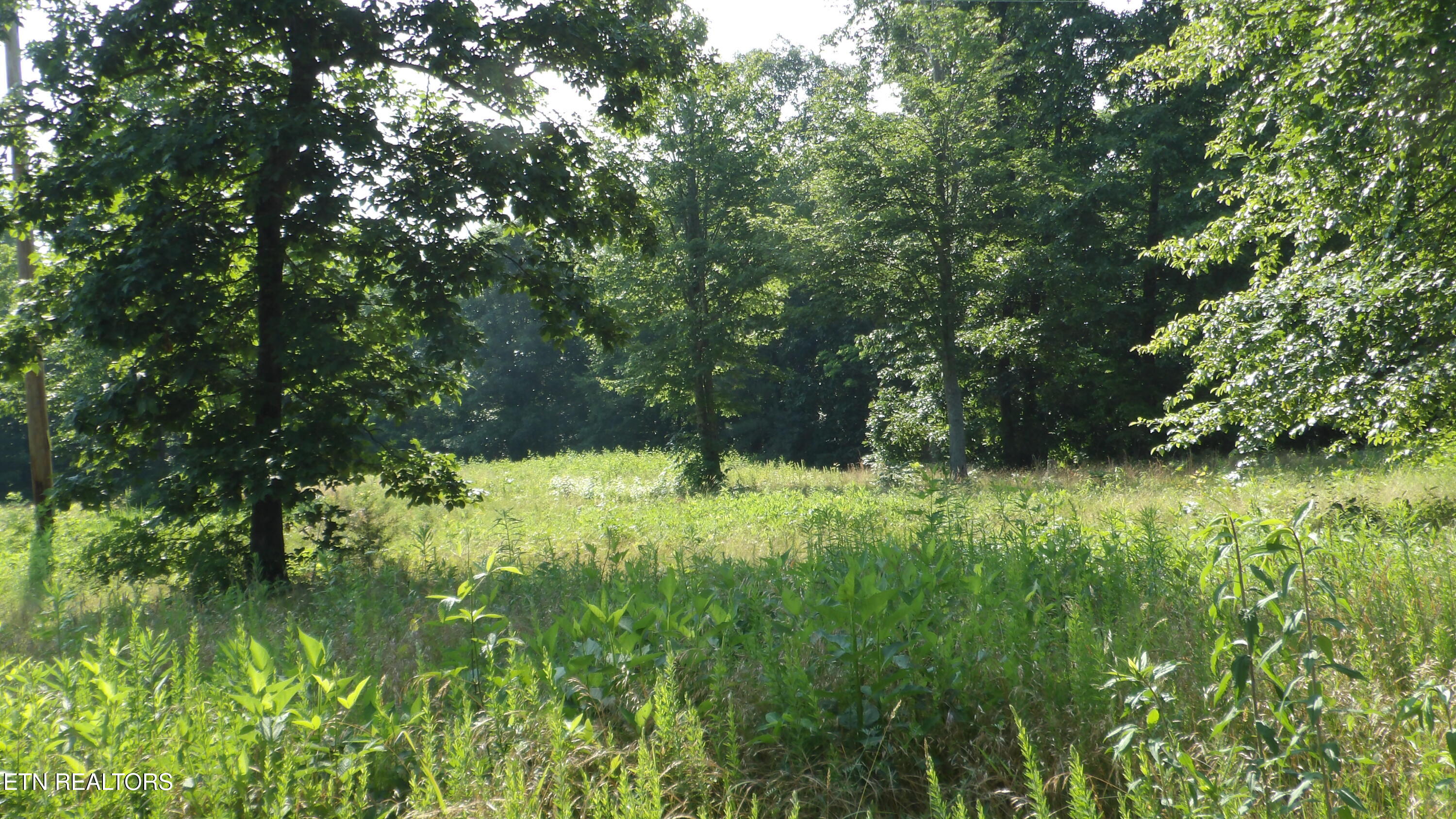 13.87AC Pleasant Cemetery Lane Gainesboro TN 38562