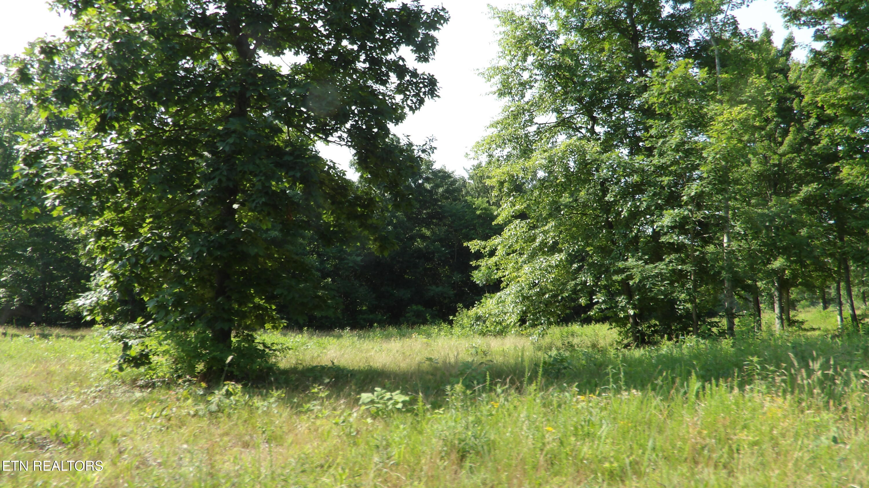 13.87AC Pleasant Cemetery Lane Gainesboro TN 38562