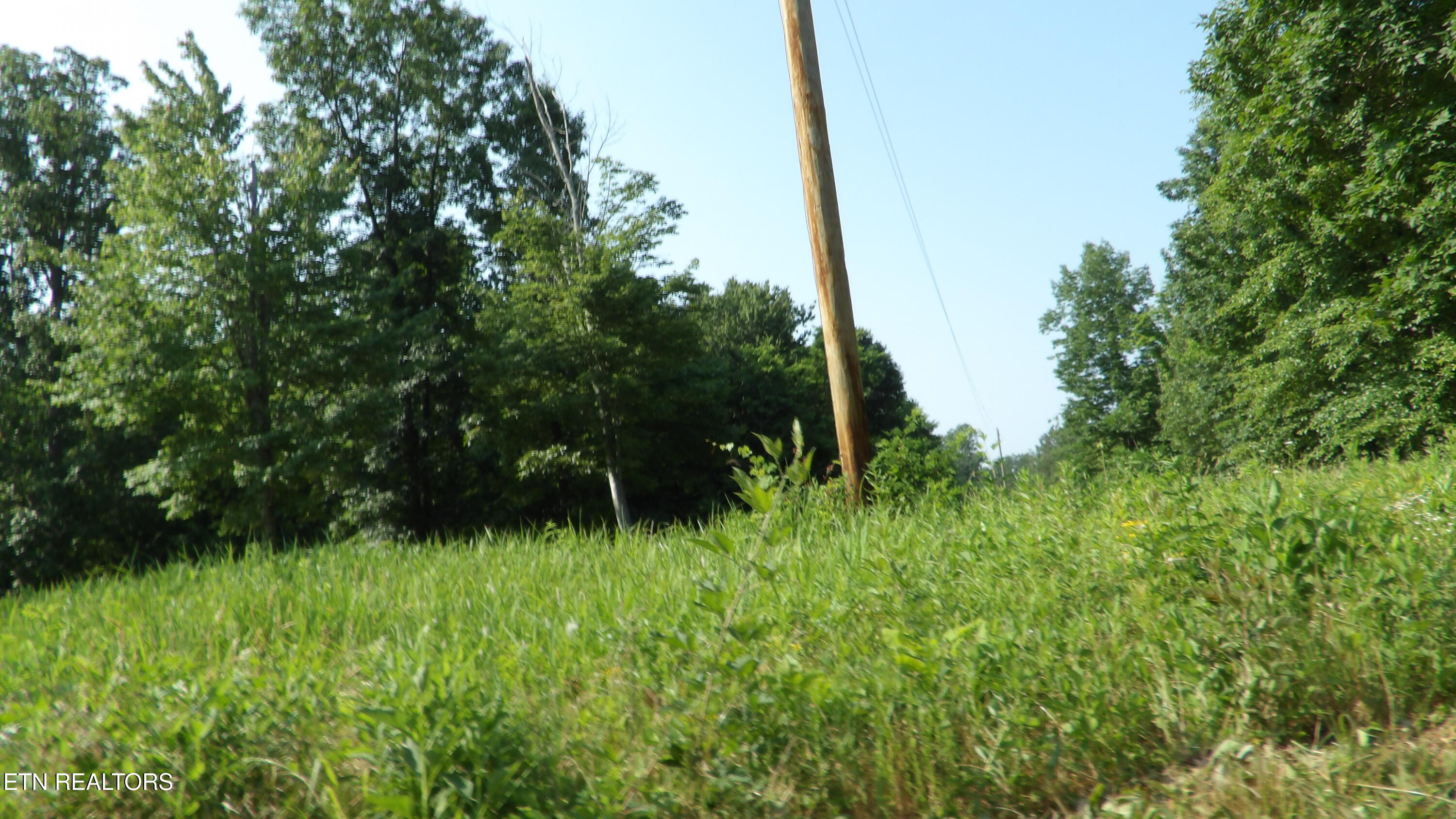13.87AC Pleasant Cemetery Lane Gainesboro TN 38562