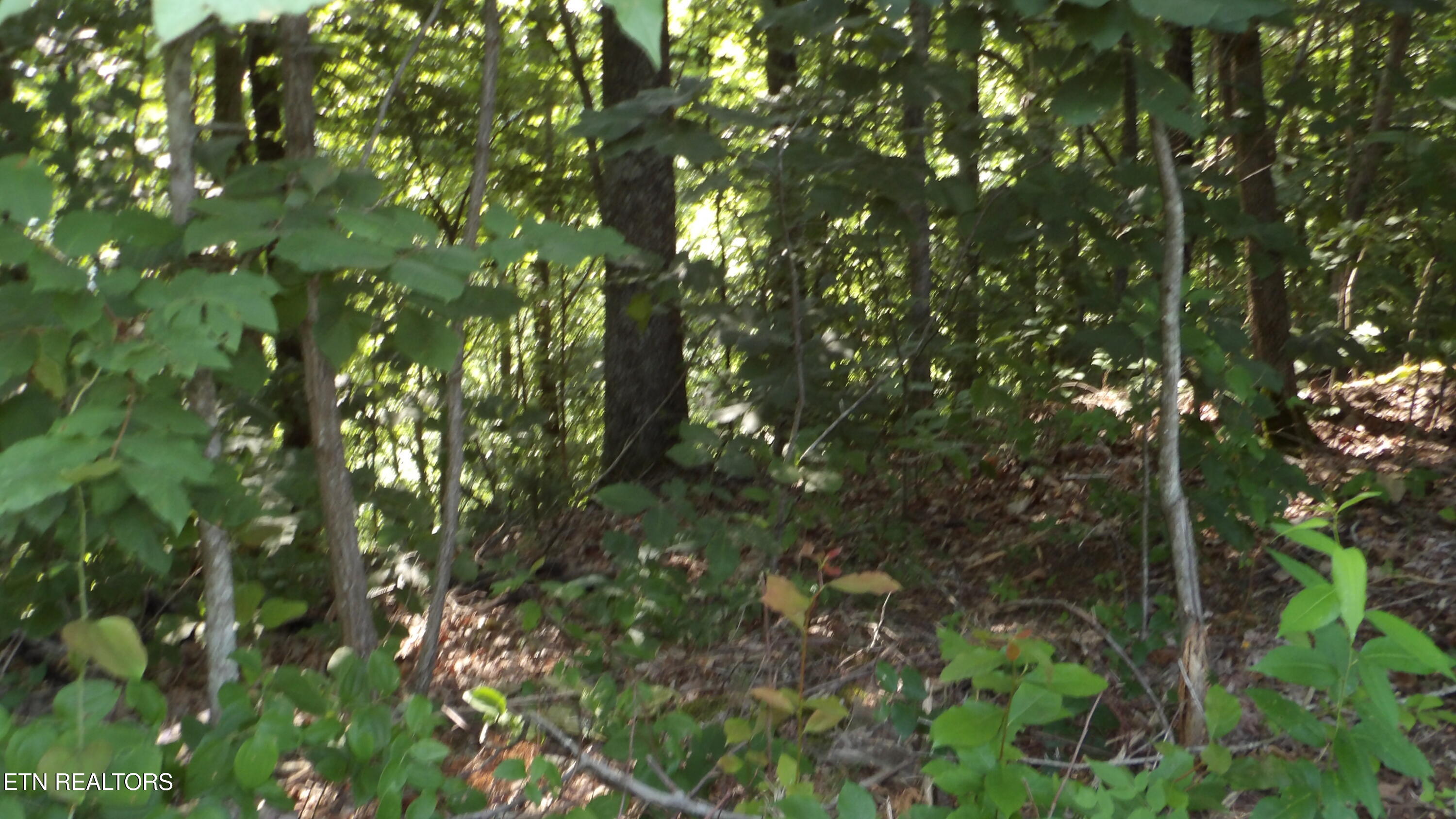 13.87AC Pleasant Cemetery Lane Gainesboro TN 38562