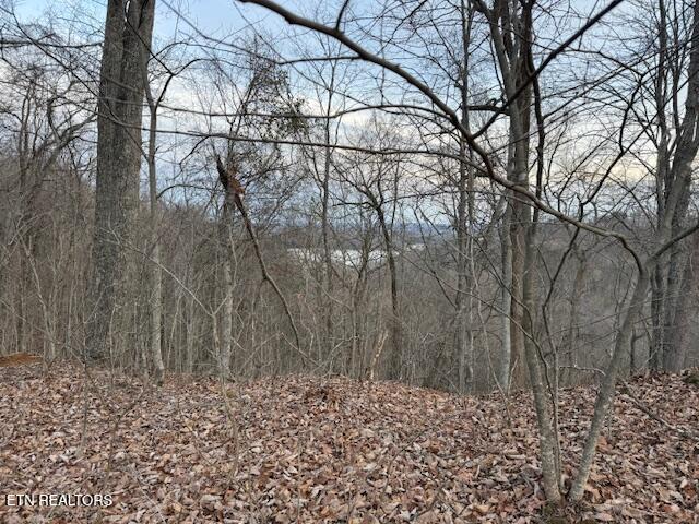 971 Scenic River Road Madisonville TN 37354