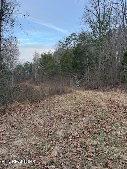 971 Scenic River Road Madisonville TN 37354