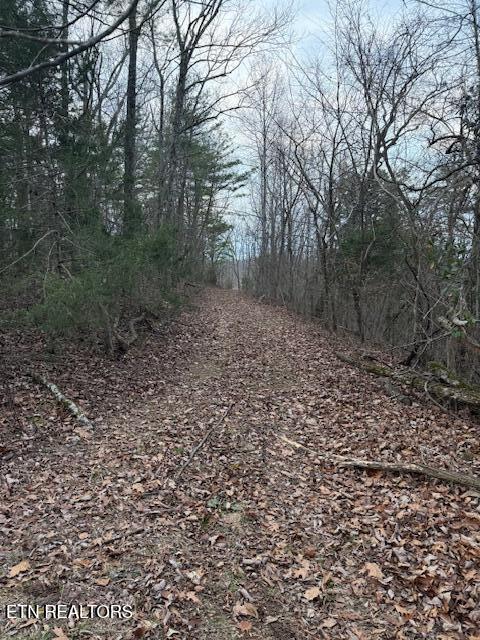 971 Scenic River Road Madisonville TN 37354