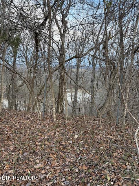 971 Scenic River Road Madisonville TN 37354