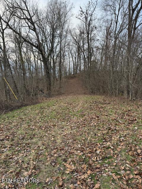 971 Scenic River Road Madisonville TN 37354
