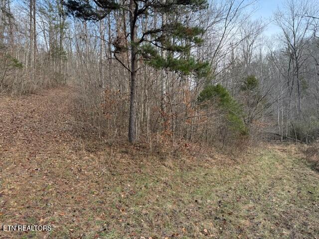 971 Scenic River Road Madisonville TN 37354