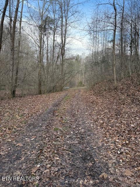 971 Scenic River Road Madisonville TN 37354