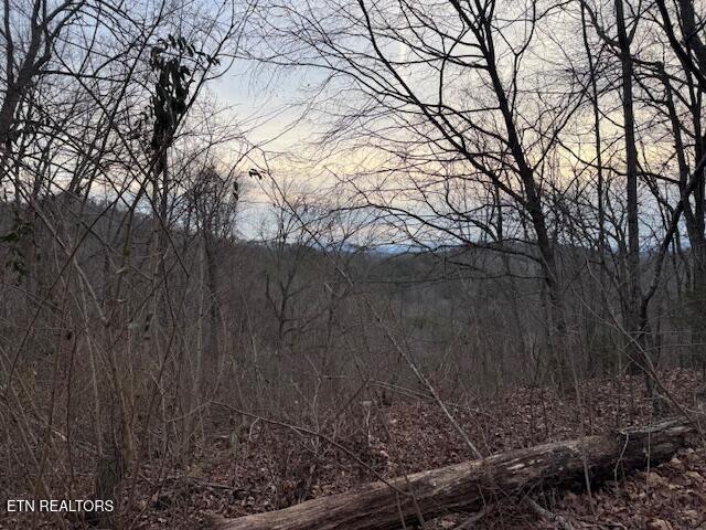 971 Scenic River Road Madisonville TN 37354