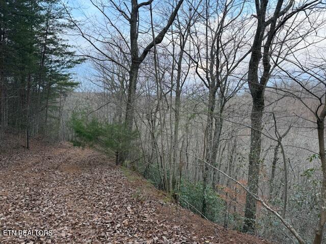 971 Scenic River Road Madisonville TN 37354